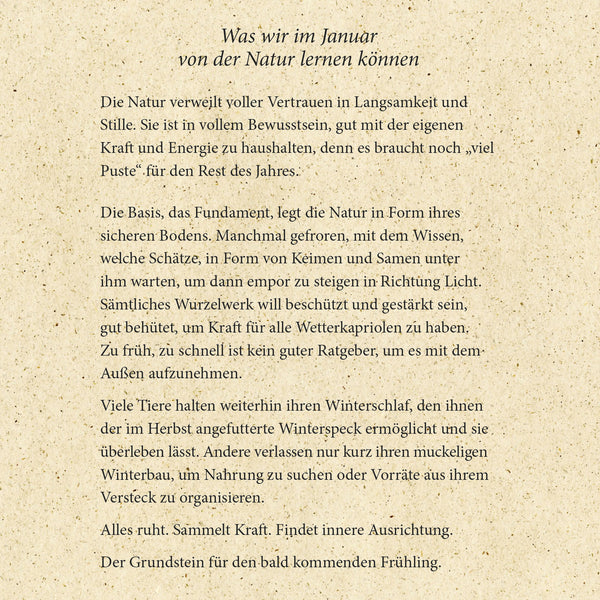 Mindset "Natur ZeitDose"