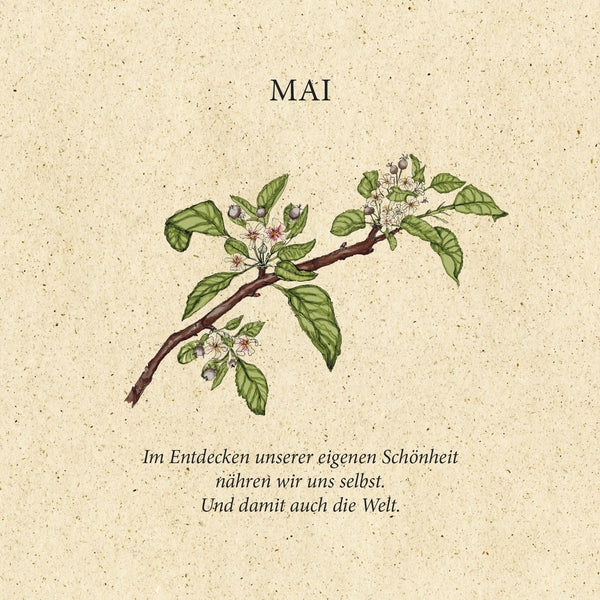 Mindset "Natur ZeitDose"