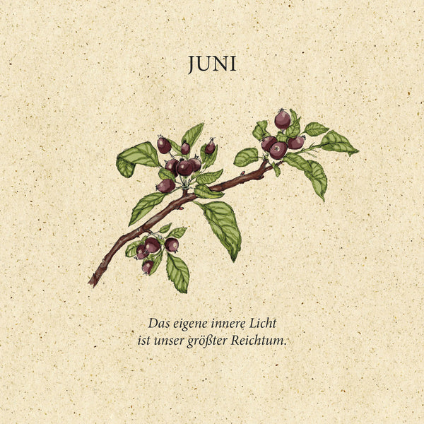 Mindset "Natur ZeitDose"