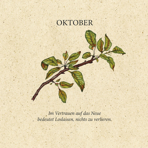 Limited Edition "NaturZeit"