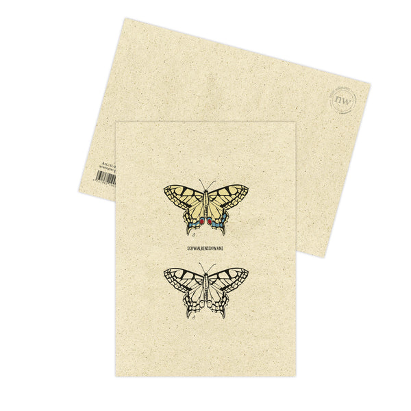 Postkarte "Schwalbenschwanz", Schmetterling