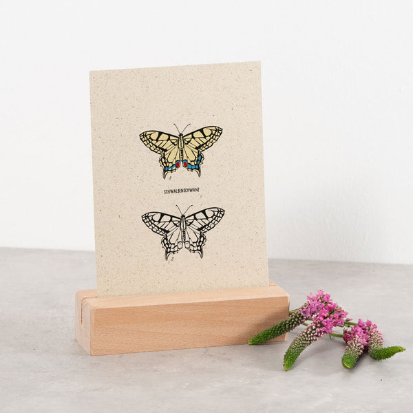 Postkarte "Schwalbenschwanz", Schmetterling