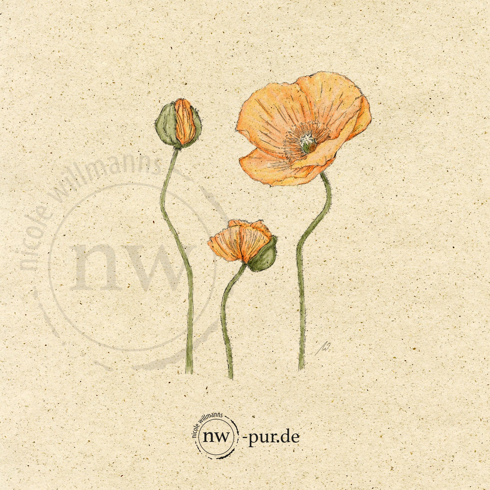 Postkarte "Kalifornischer Klatschmohn | Limited Edition 2025"
