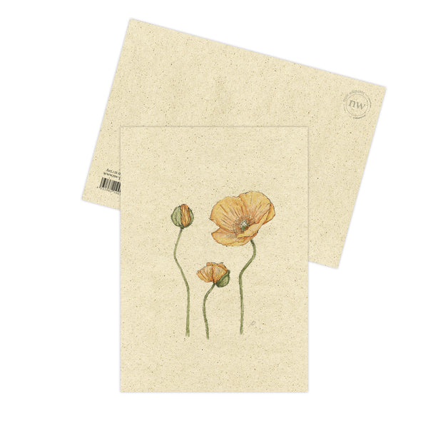 Postkarte "Kalifornischer Klatschmohn | Limited Edition 2025"