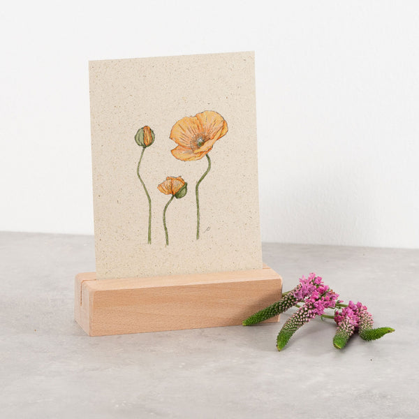 Postkarte "Kalifornischer Klatschmohn | Limited Edition 2025"