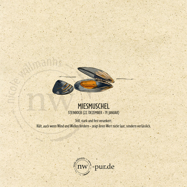 Postkarte "Miesmuschel", Steinbock