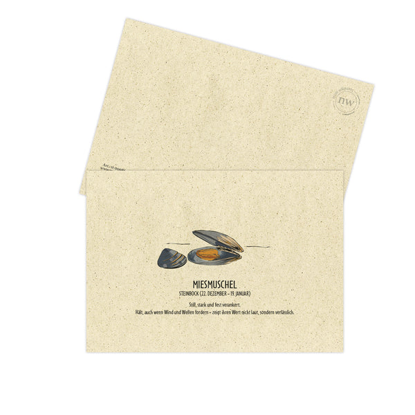 Postkarte "Miesmuschel", Steinbock