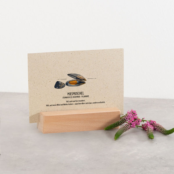 Postkarte "Miesmuschel", Steinbock