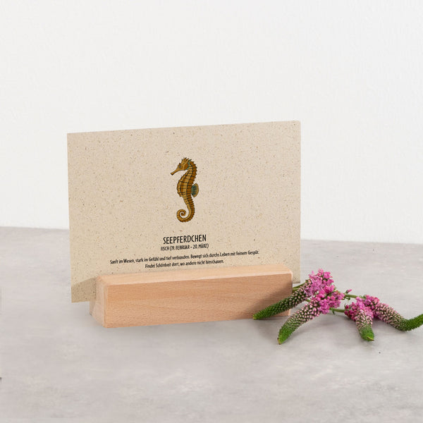 Postkarte "Seepferdchen", Fisch