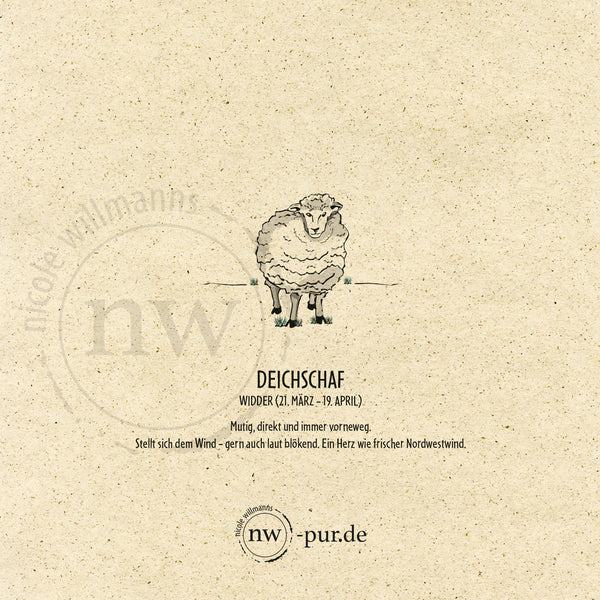 Postkarte "Deichschaf", Widder
