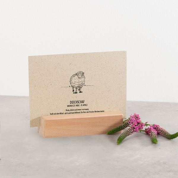 Postkarte "Deichschaf", Widder