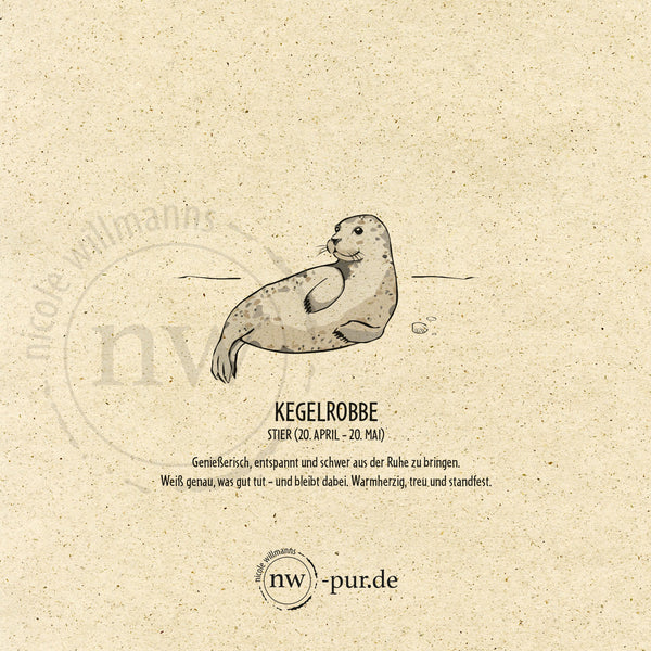 Postkarte "Kegelrobbe", Stier