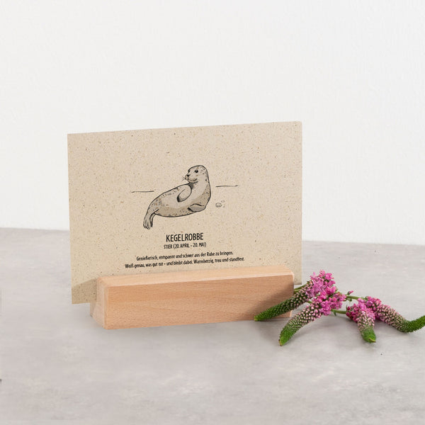 Postkarte "Kegelrobbe", Stier