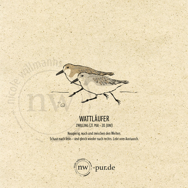 Postkarte "Wattläufer", Zwilling