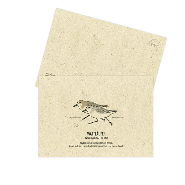 Postkarte "Wattläufer", Zwilling