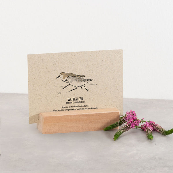 Postkarte "Wattläufer", Zwilling