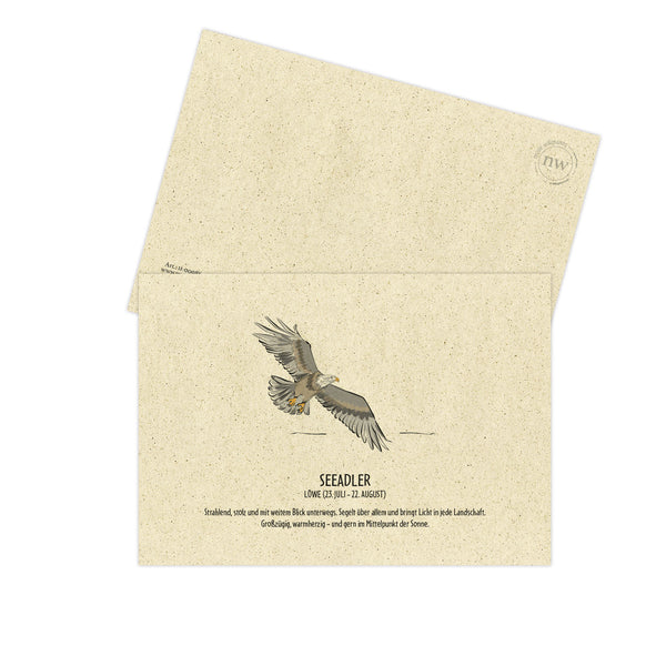 Postkarte "Seeadler", Löwe