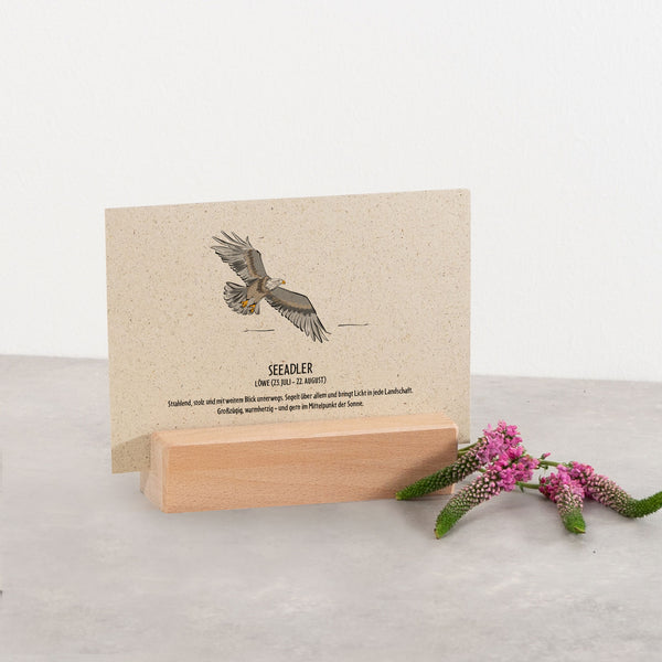 Postkarte "Seeadler", Löwe