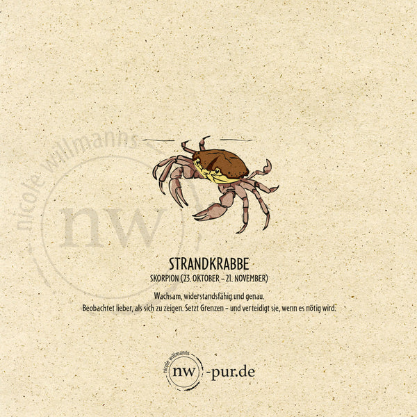 Postkarte "Strandkrabbe", Skorpion
