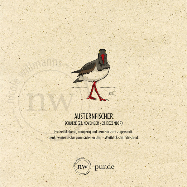 Postkarte "Austernfischer", Schütze