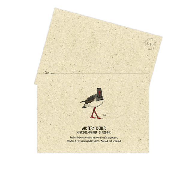 Postkarte "Austernfischer", Schütze