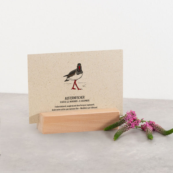 Postkarte "Austernfischer", Schütze