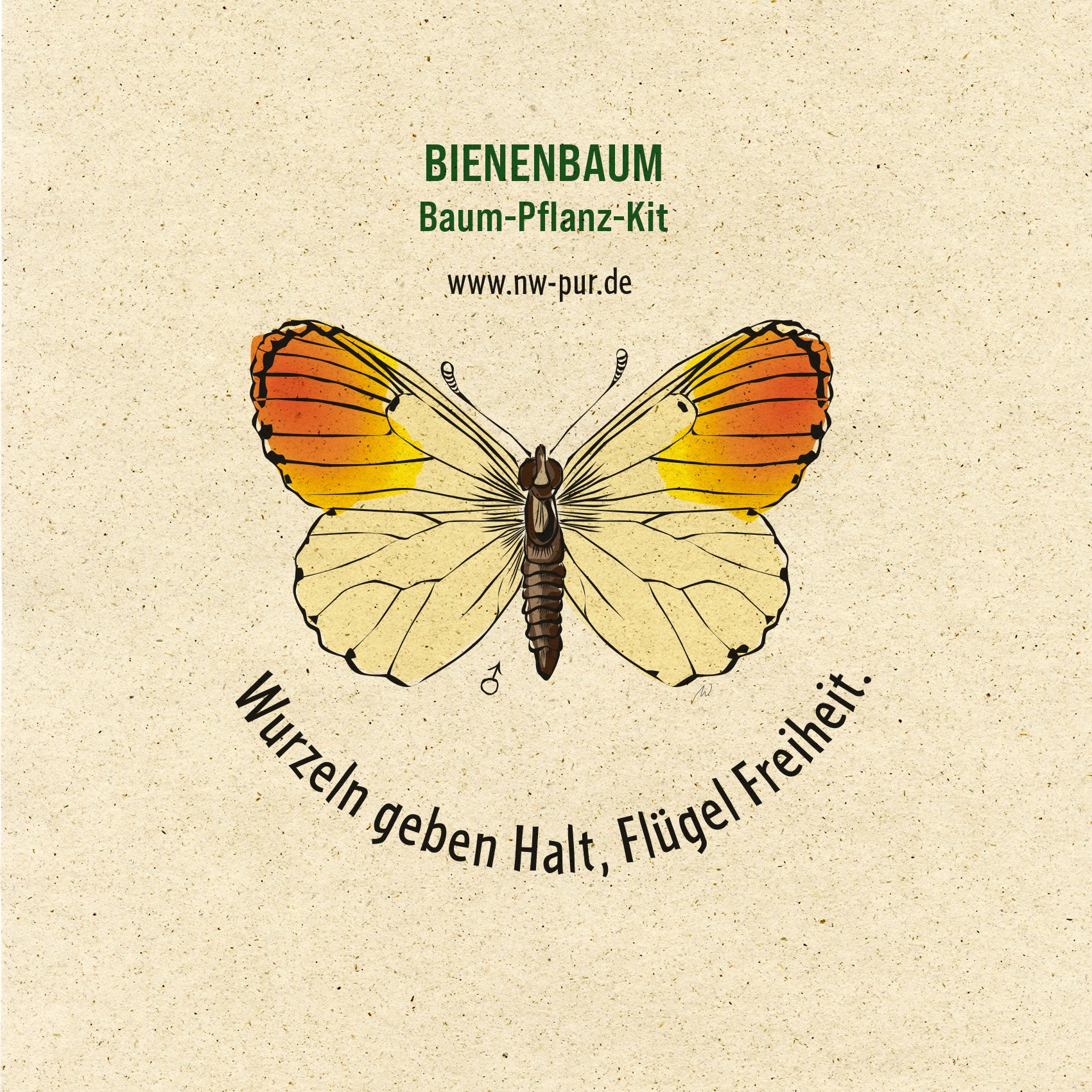 "Baum-Pflanz-Kit" Bienenbaum